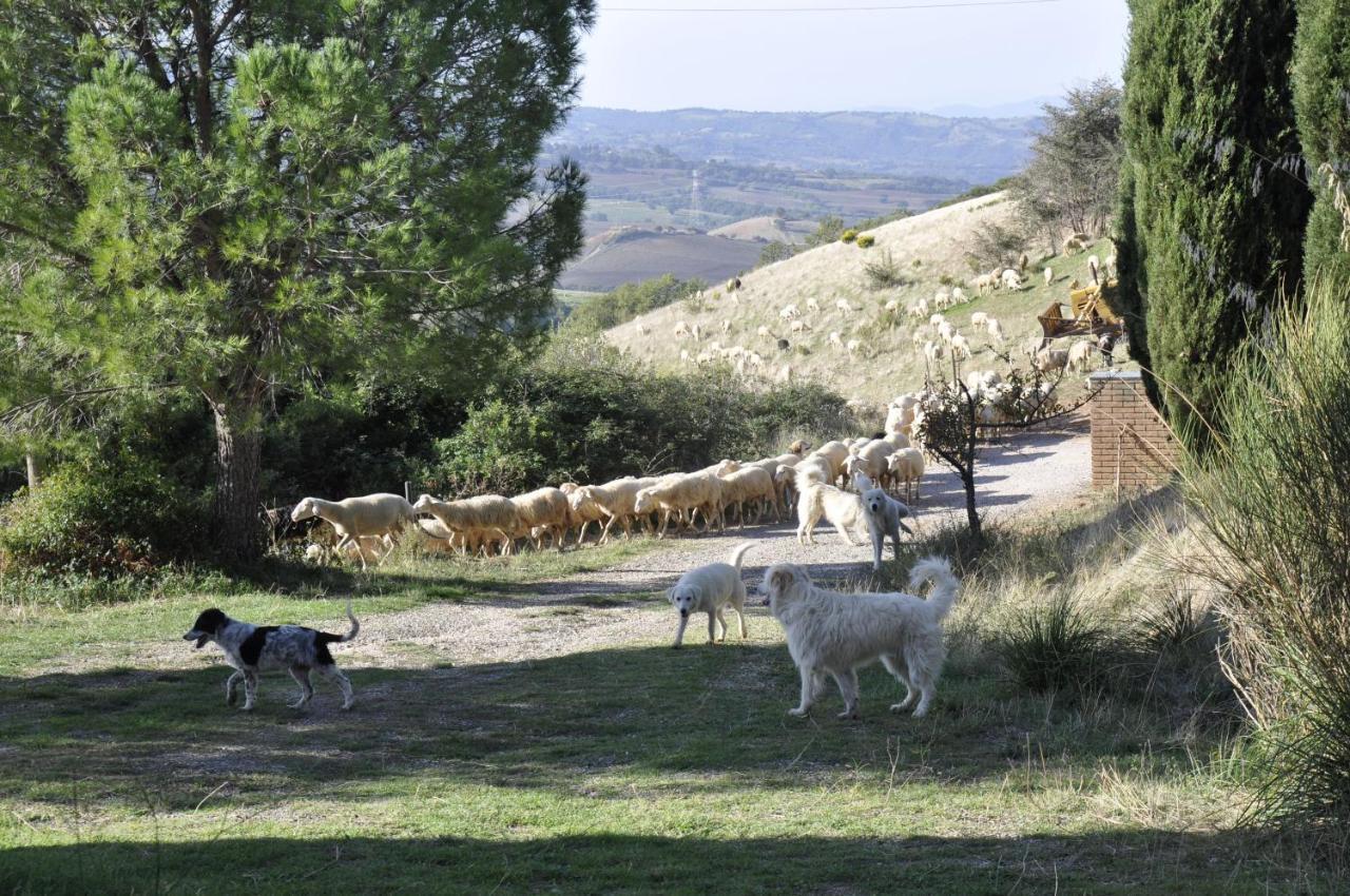 La Colombera In Toscana Roccalbegna Exterior foto